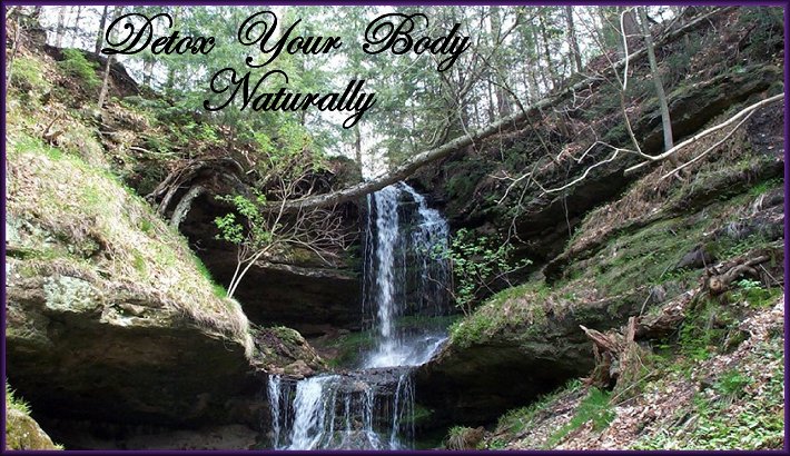 DETOX YOUR BODY NATURALLY