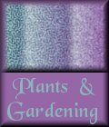 Plants & Gardening
