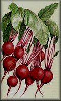 Beets