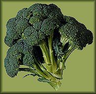 Broccoli