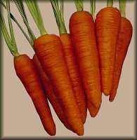 Carrots