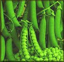 Peas